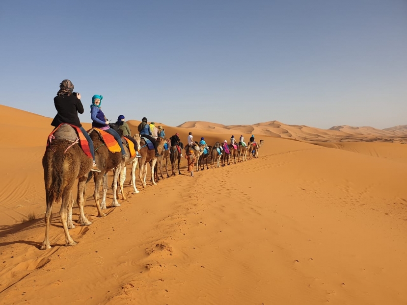 Marrakech on camel back
