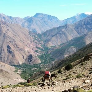 a person and a donkey in the middle of the mountains 