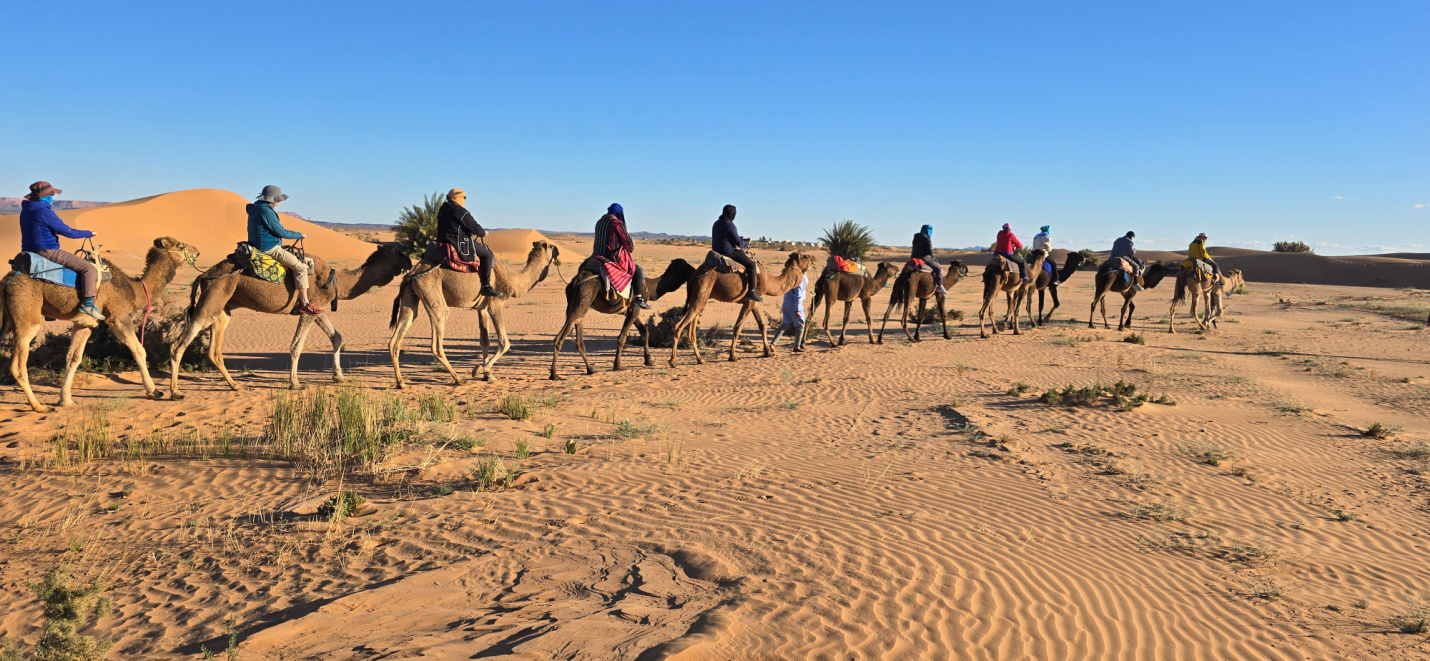People riding camels in Morocco
