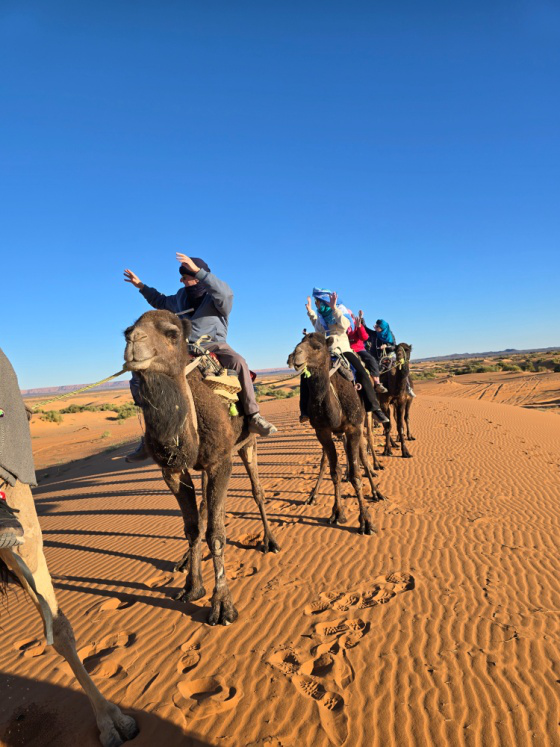 A group of tourists riding camels