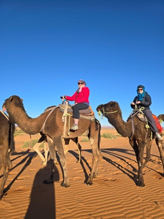 people in a line sitting on camels posing for pictures in a sunny desert