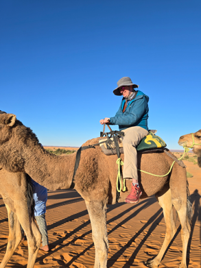 A traveler rides a camel across golden Sahara dunes under a warm Moroccan sunset.