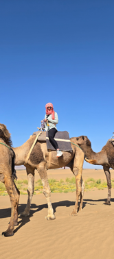 A solo traveler wearing sunglasses and a pink headscarf rides a camel across the golden dunes of Morocco under a bright blue desert sky. 