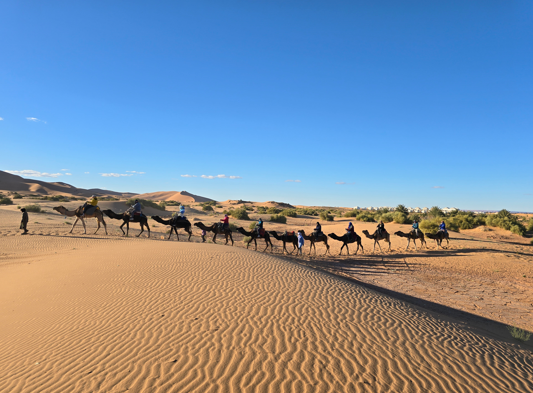A group of tourists on camels follows a Berber guide across a vast desert landscape.
