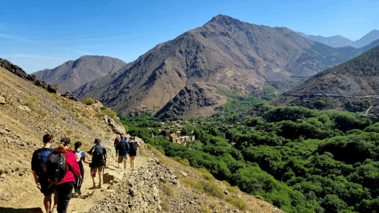 A group of tourists trekking a trail