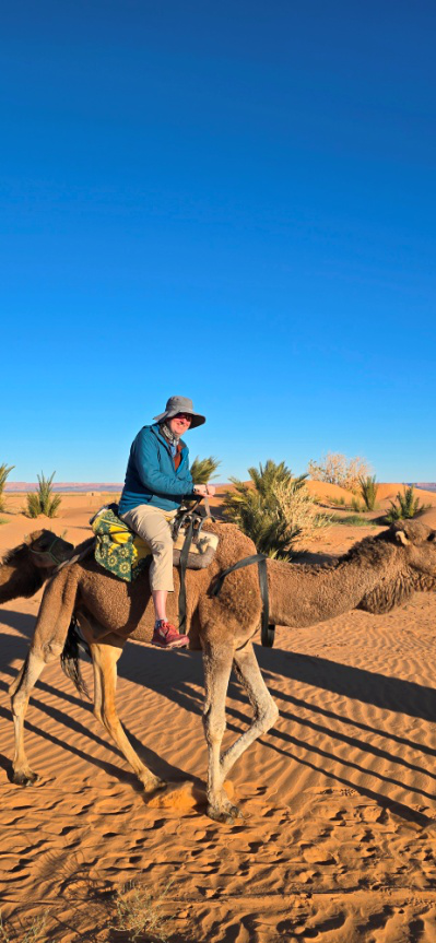 A tourist riding a camel