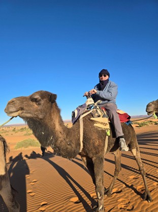 a woman sitting on a camel
