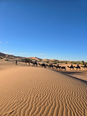 a group of people on a desert tour