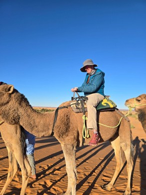 a person sitting on a camel