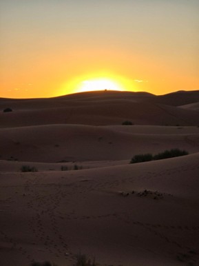 sunset in the desert