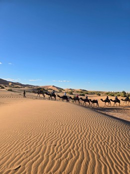 a group of people on tour travelling on camels