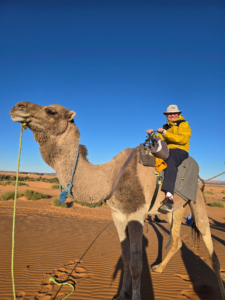 A person sitting on a camel in a desert