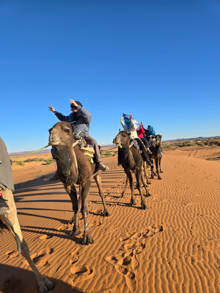 Tourists on camels in a desert 