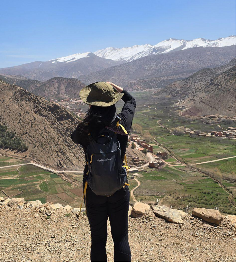 A hiker standing on a rocky overlook, gazing across a green valley toward snow-capped mountains under a clear blue sky.