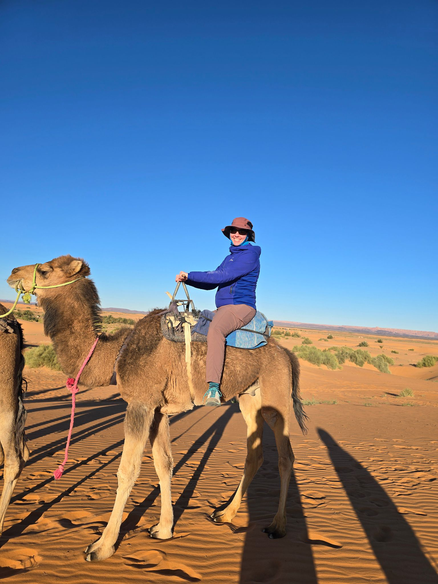 Solo traveler riding a camel across the Sahara Desert.