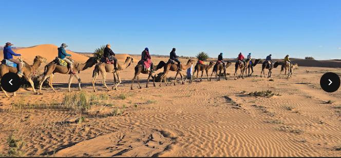 People riding camels in a desert