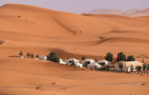 A view of the desert