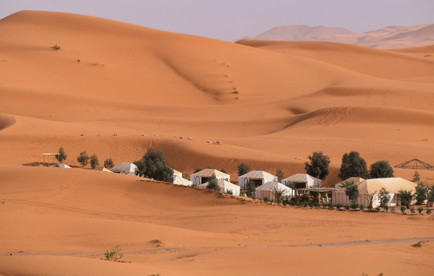 A view of the desert