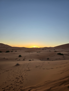 A picture of sand dunes in the Sahara Desert.