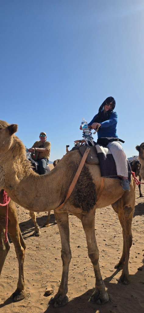 A person sitting on a camel